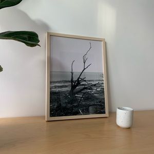 framed original photo print